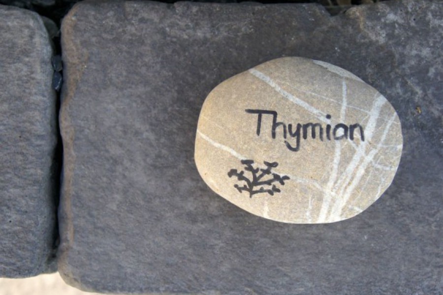 Kräuterbeschriftung