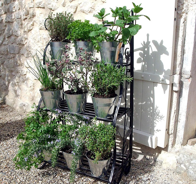 Vertical Gardening