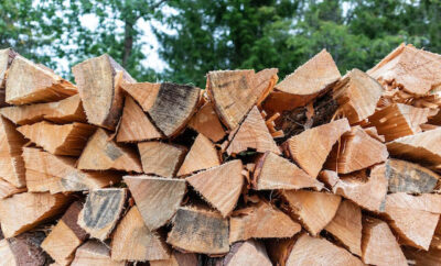 Brennholz selber machen