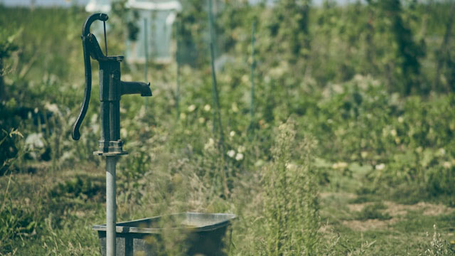 Gartenbewässerung mit Wasserpumpe