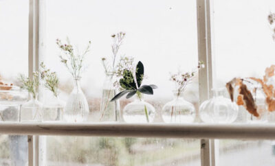 Lifestyle Trends Alltag