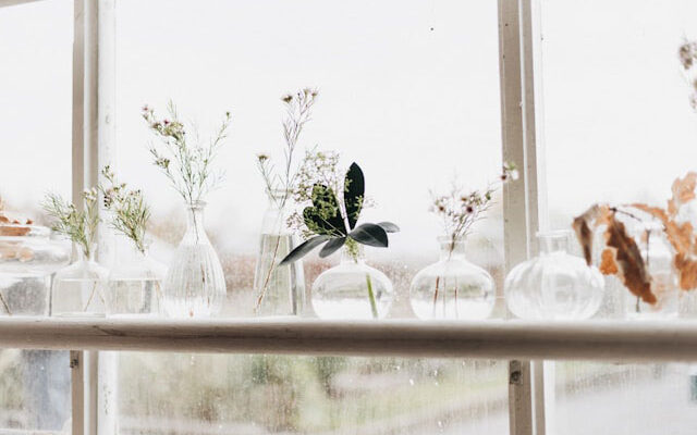 Lifestyle Trends Alltag